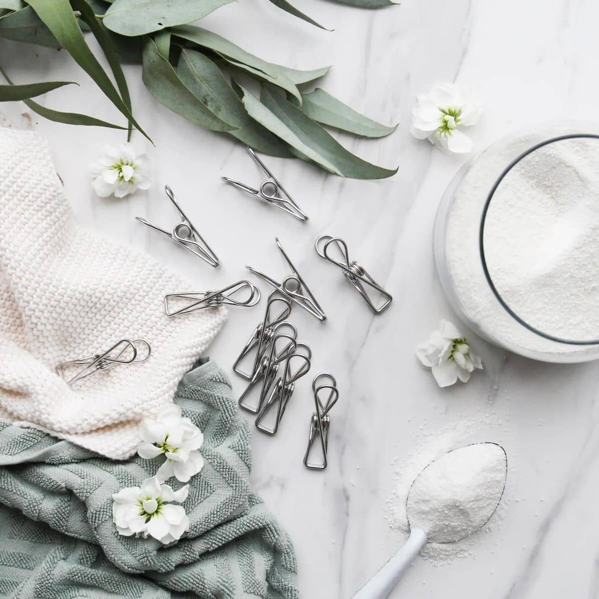 Ever Eco Stainless Steel Clothes Pegs - 20 Pack