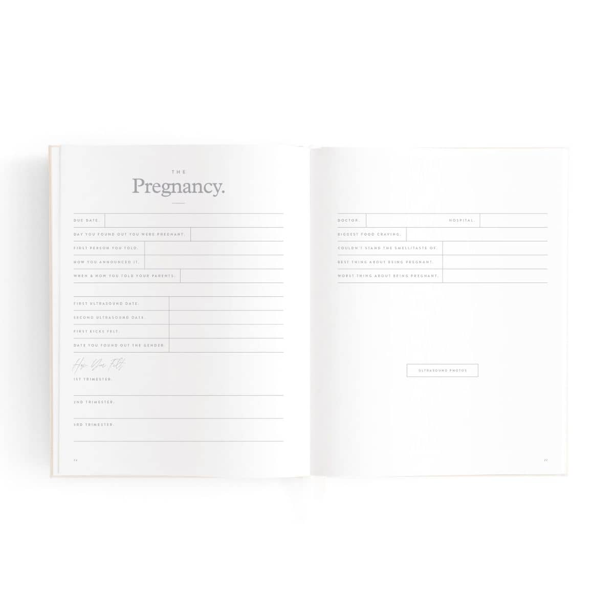 Fox & Fallow Mini Baby Book - Pregnancy