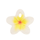 Oli & Carol Natural Rubber Chewy-to-Go Mini Teether - Hawaii the Flower