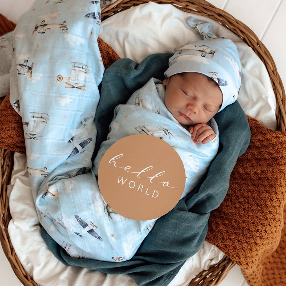 Snuggle Hunny Reversible Milestone Cards - Taking Flight and Pebble