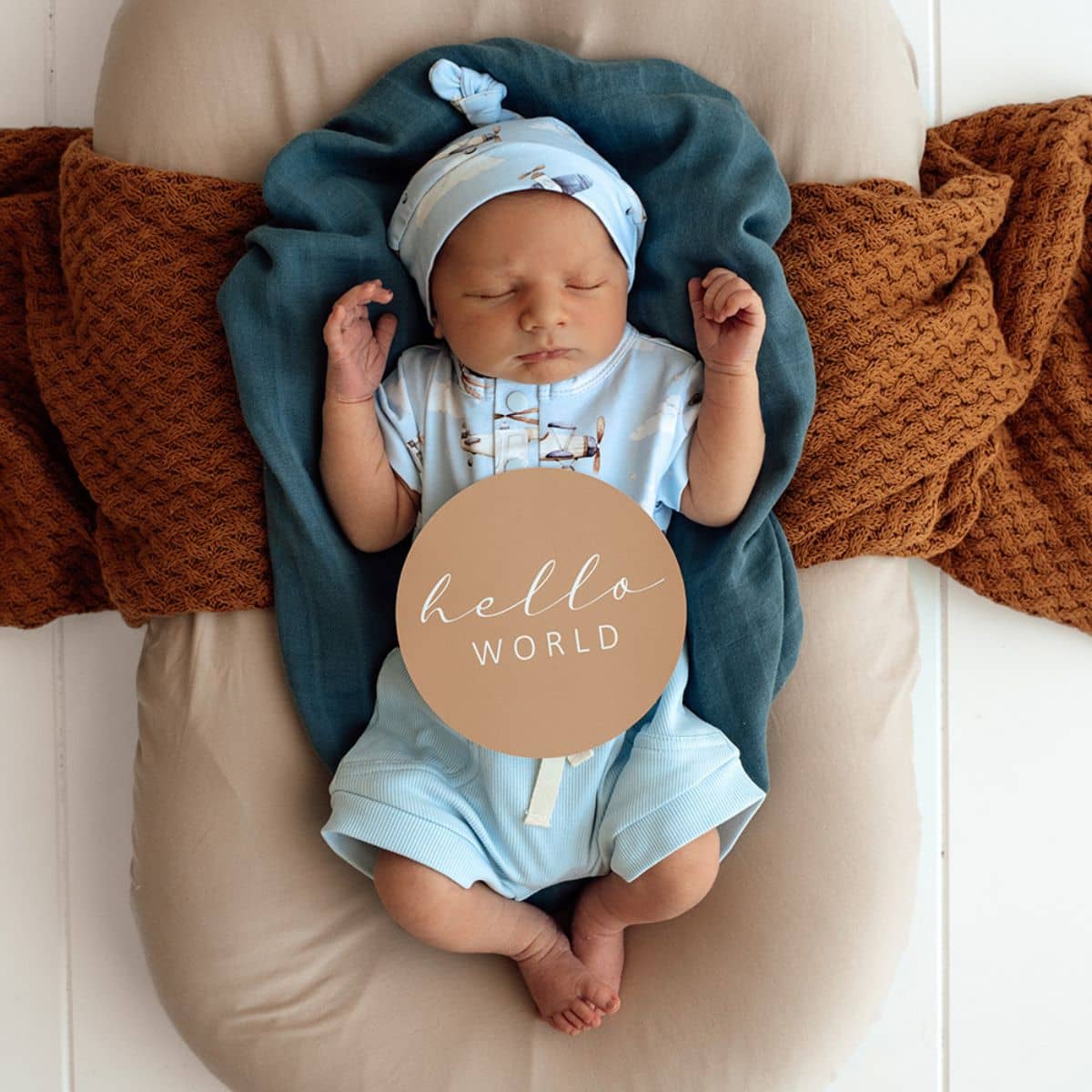 Snuggle Hunny Reversible Milestone Cards - Taking Flight and Pebble