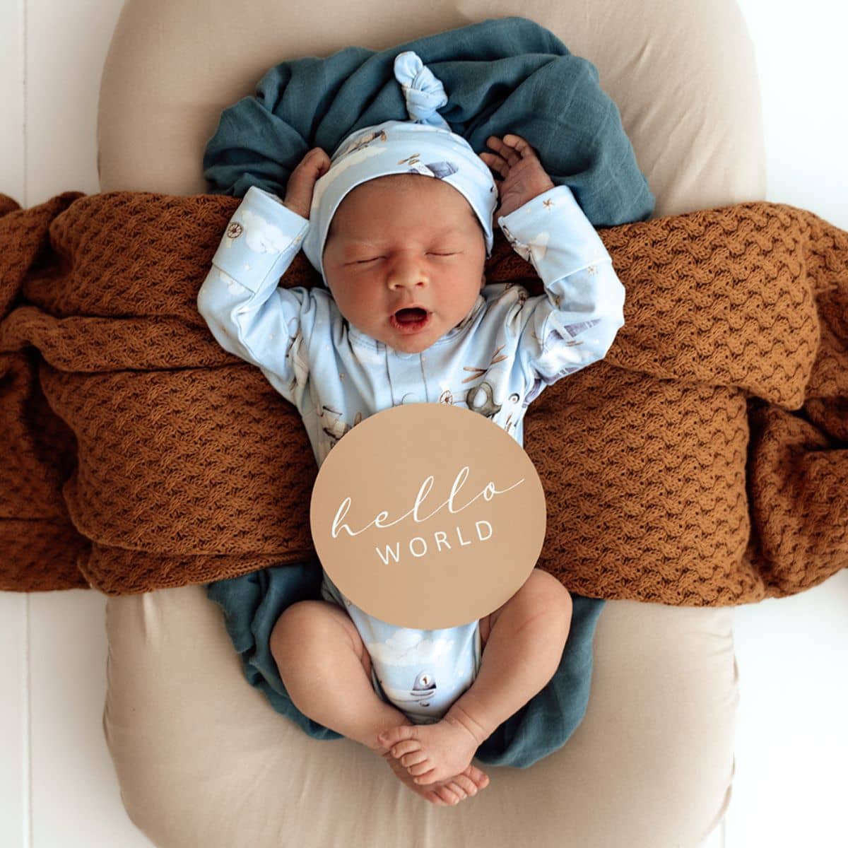 Snuggle Hunny Reversible Milestone Cards - Taking Flight and Pebble