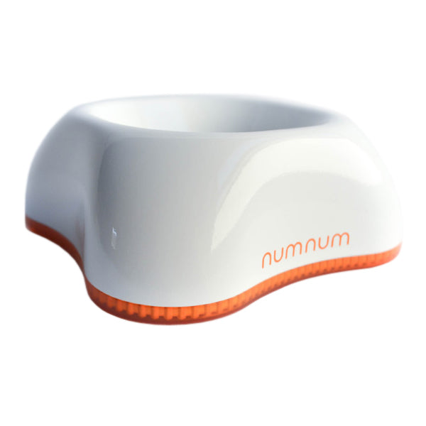 NumNum Beginner Bowl