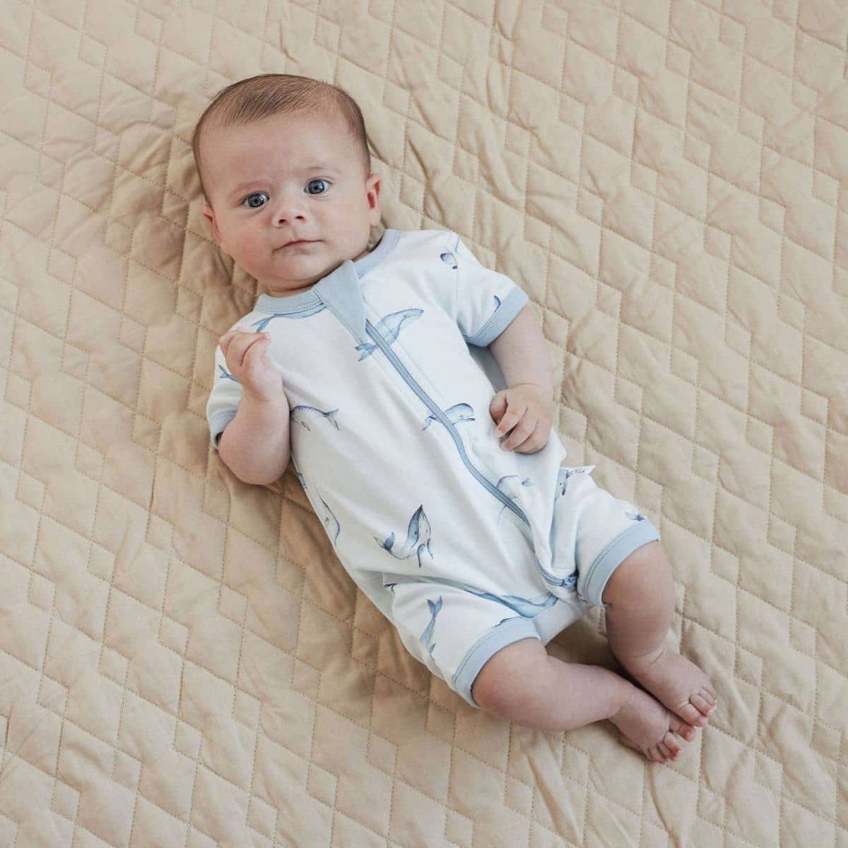 Aster & Oak Short Sleeve Zip Romper - Under the Sea