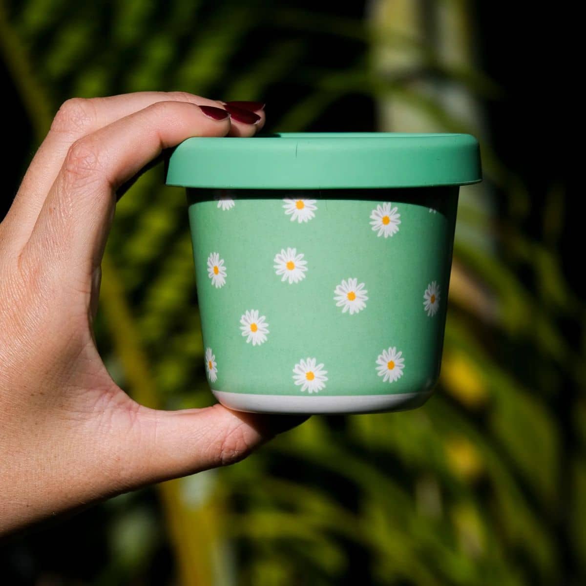 BBcino Reusable Snack Pot - 220ml Bamboo - Daisy, BB