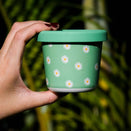 BBcino Reusable Snack Pot - 220ml Bamboo - Daisy, BB