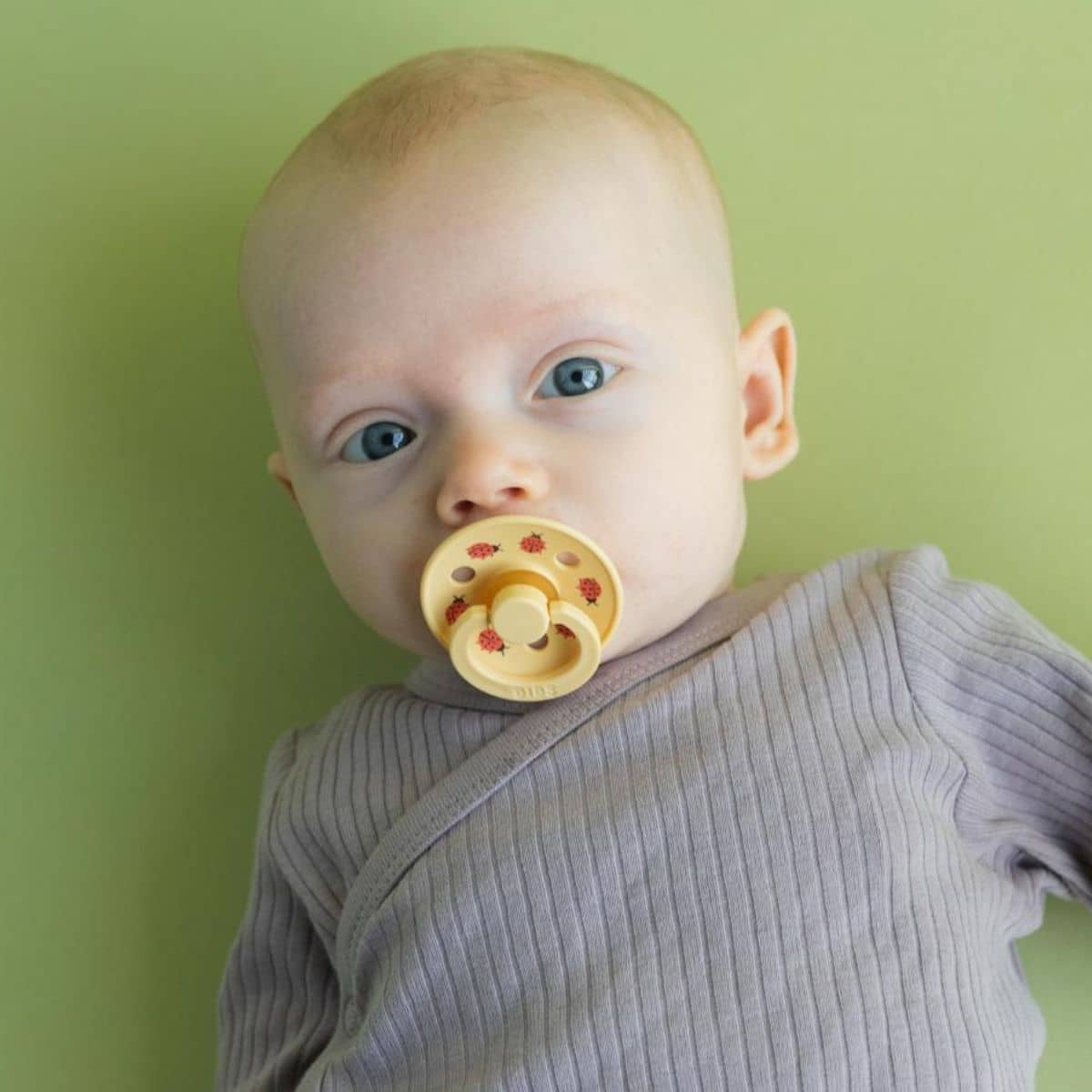 BIBS Urban Garden Studio Colour Dummies - Round - Latex - Ladybug