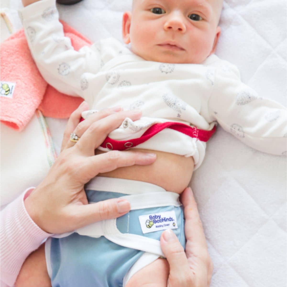 Baby BeeHinds PUL Nappy Cover