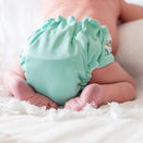 Baby BeeHinds Newborn AIO Cloth Nappy