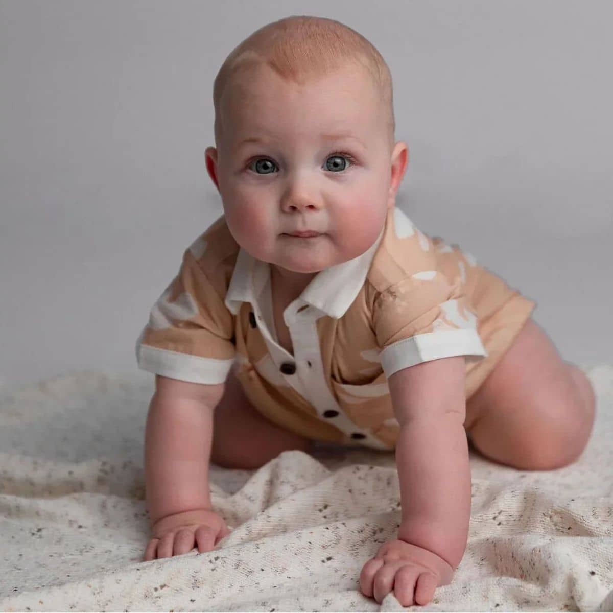 Bencer & Hazelnut Collared Bodysuit/Shirt - Turtle Dove