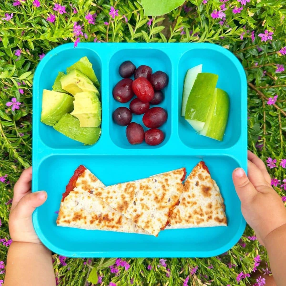 Bobo & Boo Plant-Based Bento Plate