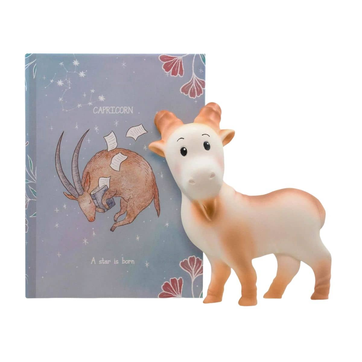Chabil Zodiac Star Sign Natural Rubber Teether - Capricorn