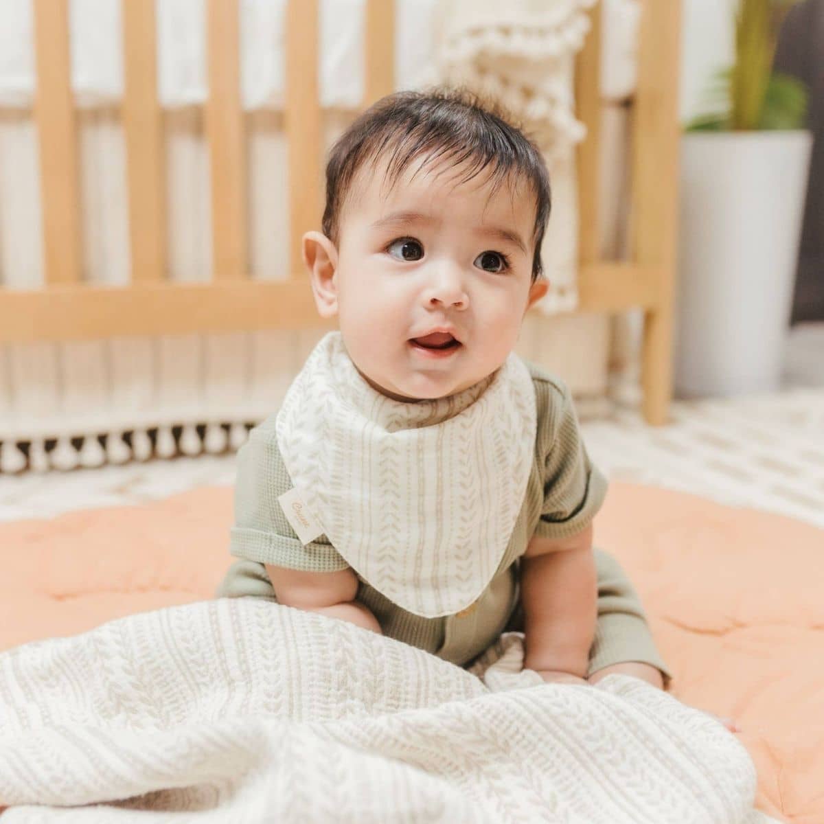 Crane Baby Muslin Bib Set - Willow Sage