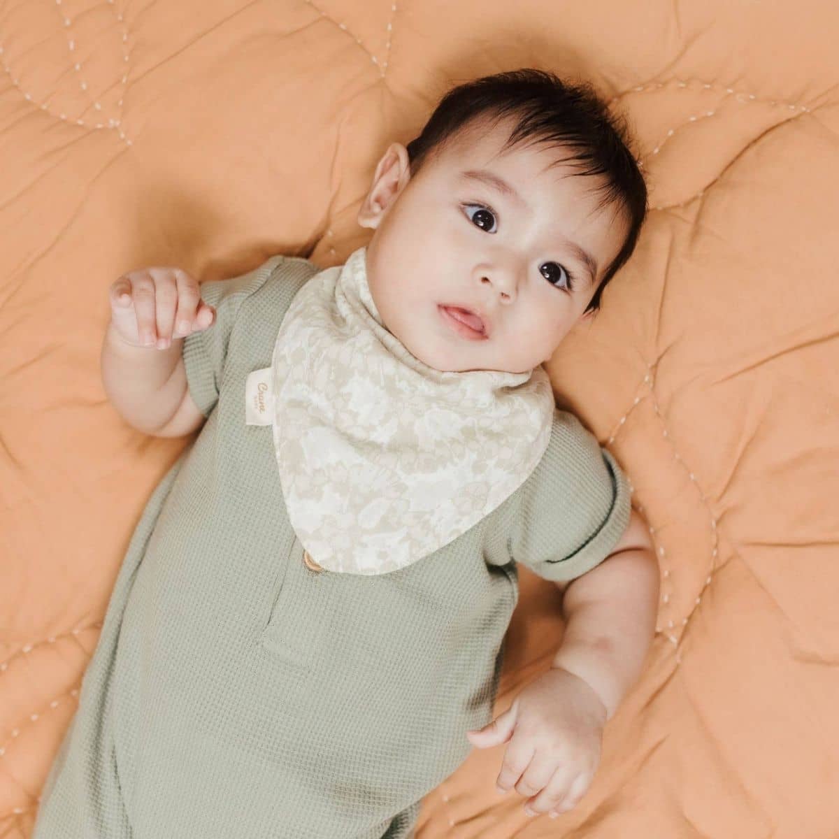 Crane Baby Muslin Bib Set - Willow Sage