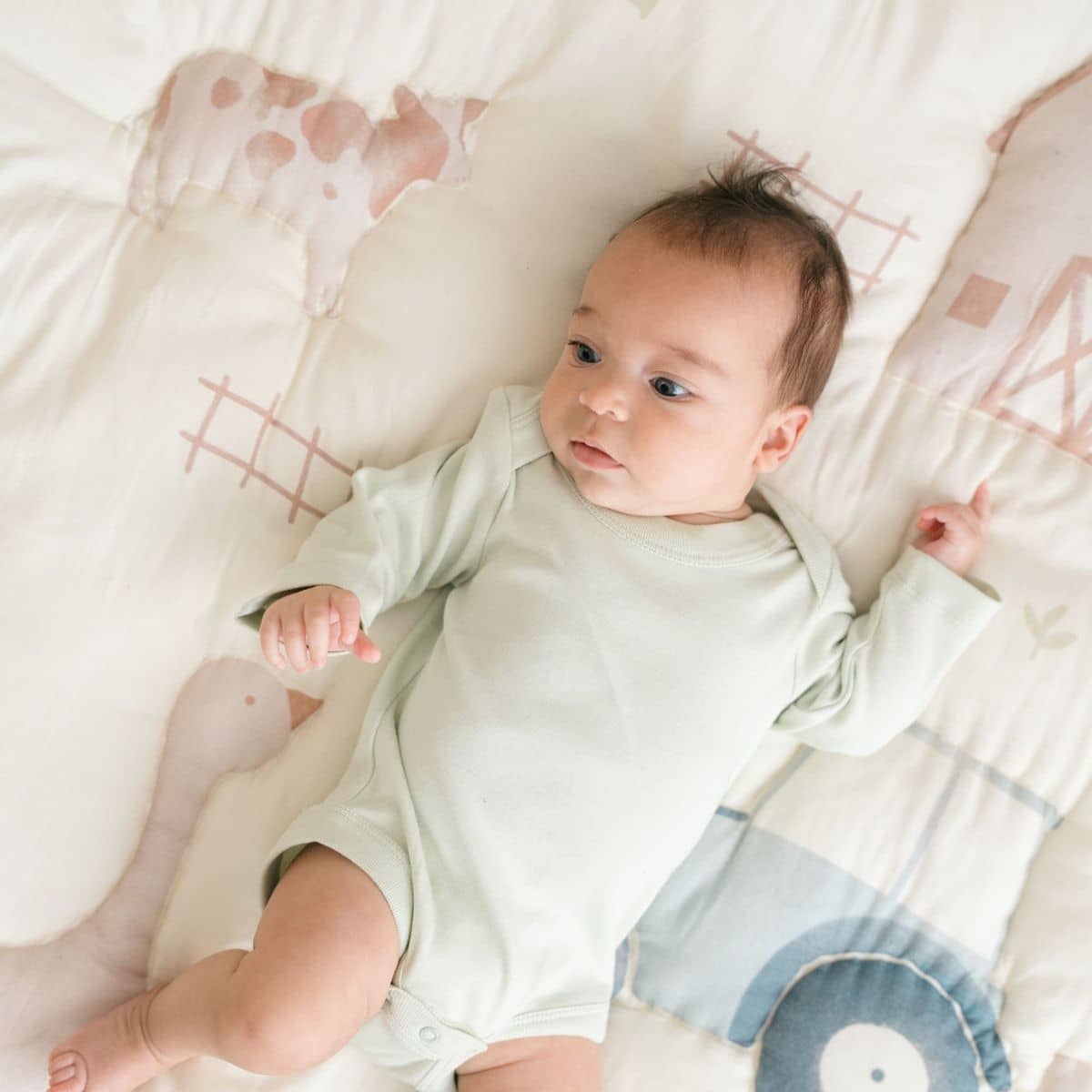Crane Baby Quilted Baby Play Mat - Charlie Farmhouse