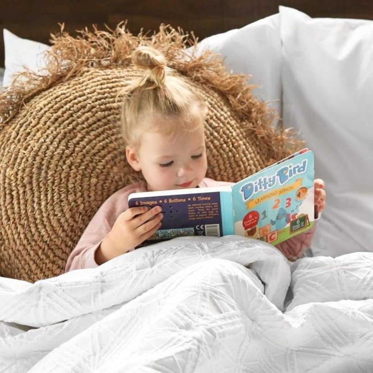 Ditty Bird Interactive Sounds Rechargeable Board Book - Learning Songs