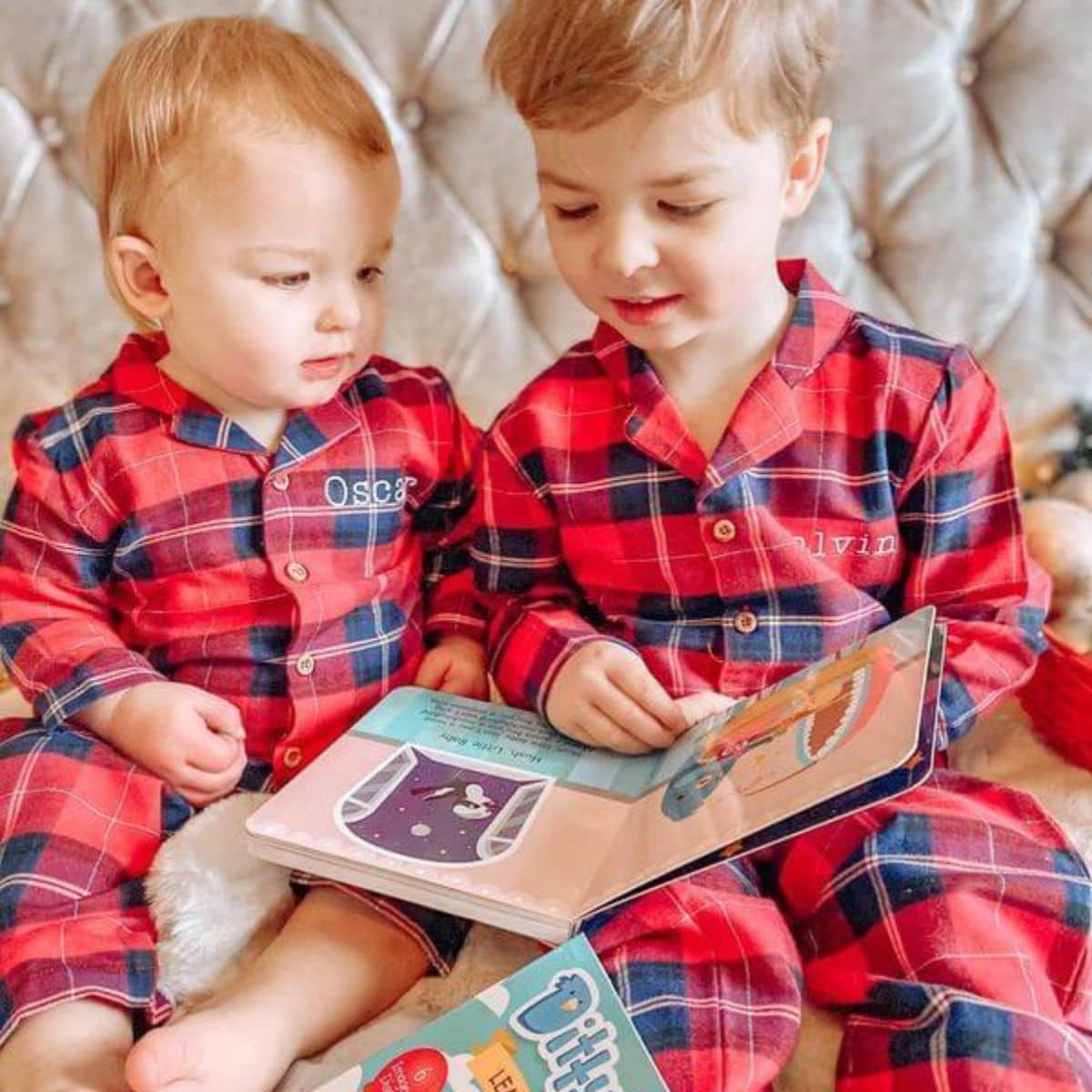 Ditty Bird Interactive Sounds Rechargeable Board Book - Learning Songs