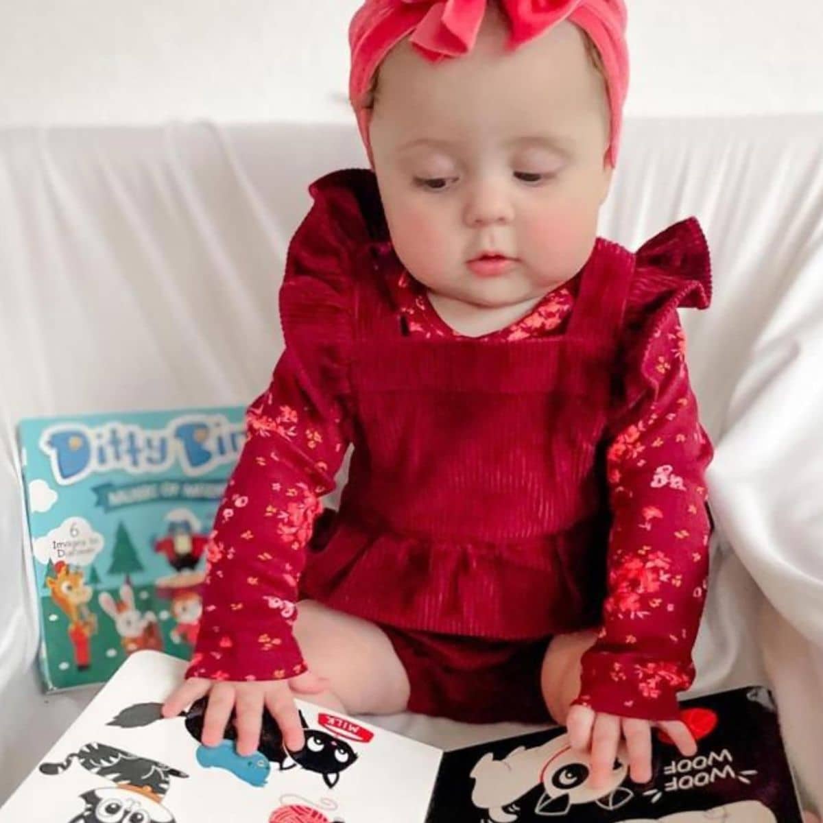 Ditty Bird Interactive Sounds Rechargeable Board Book - Black and White Animals