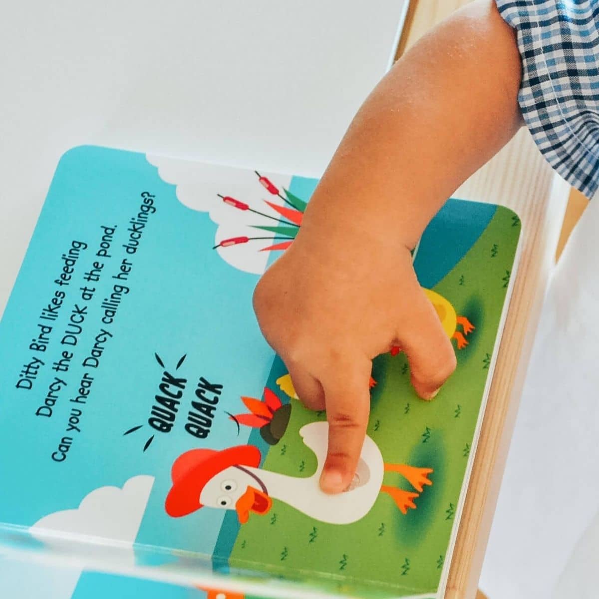 Ditty Bird Interactive Sounds Rechargeable Board Book - Farm Animals Sounds