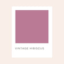 Embrace Muslin Breeze Baby Swaddle - Vintage Hibiscus