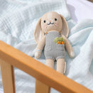 Embrace Muslin Cloud Baby Blanket - Saltwater Sky