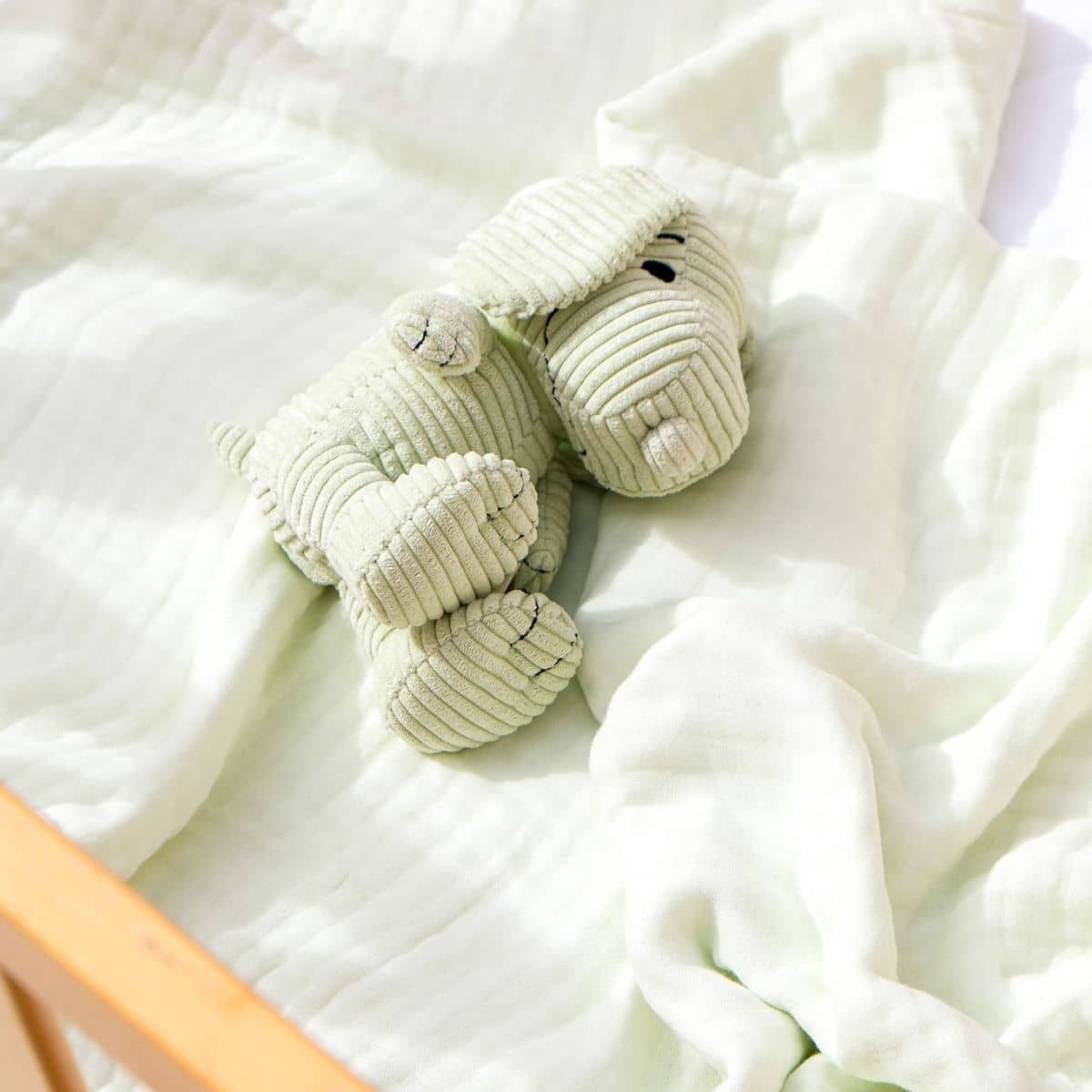 Embrace Muslin Cloud Baby Blanket - Seafoam Mist