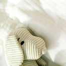 Embrace Muslin Cloud Baby Blanket - Seafoam Mist