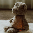 Flow Amsterdam Plush Night Light - Lou Grey