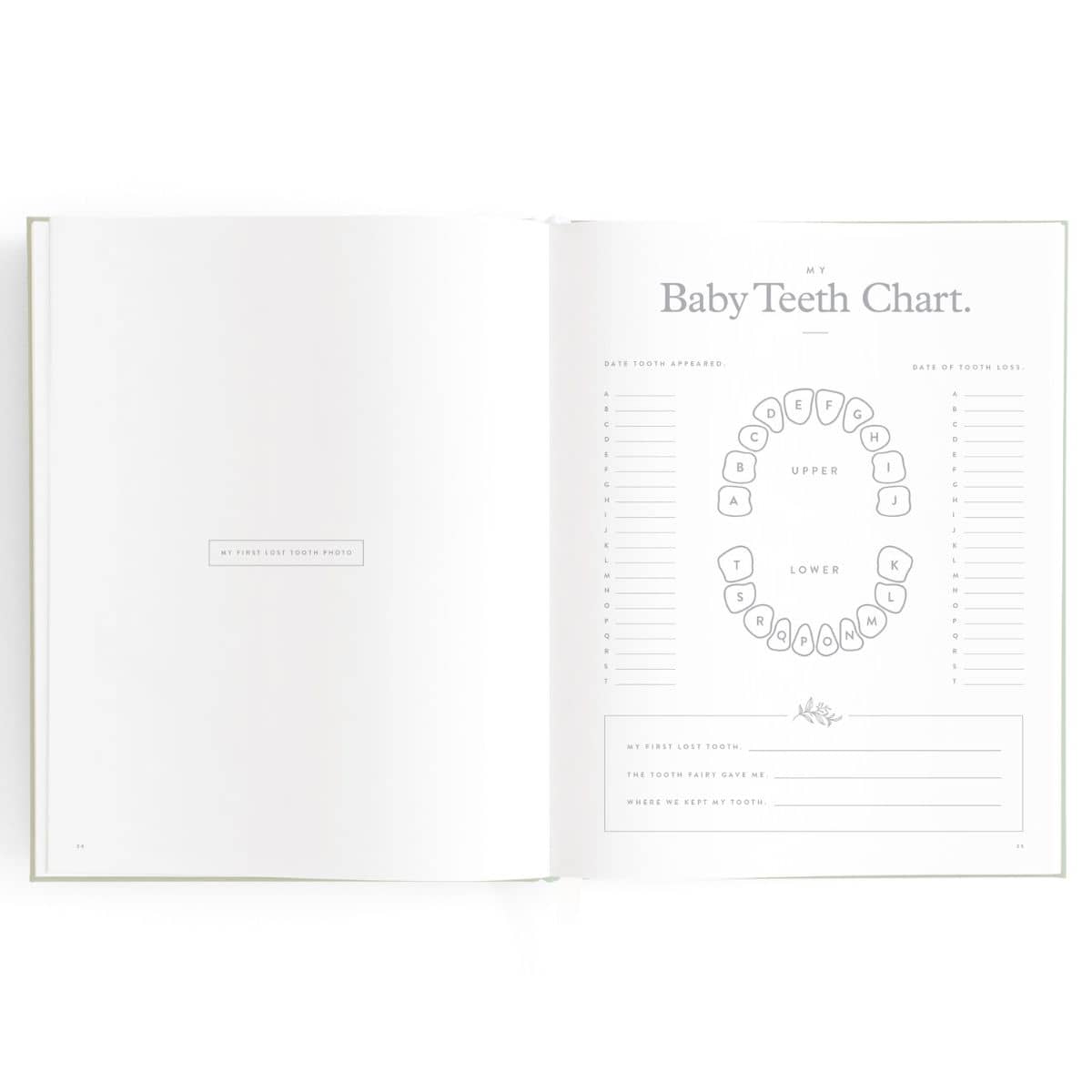 Fox & Fallow Baby Book - Baby Teeth Chart