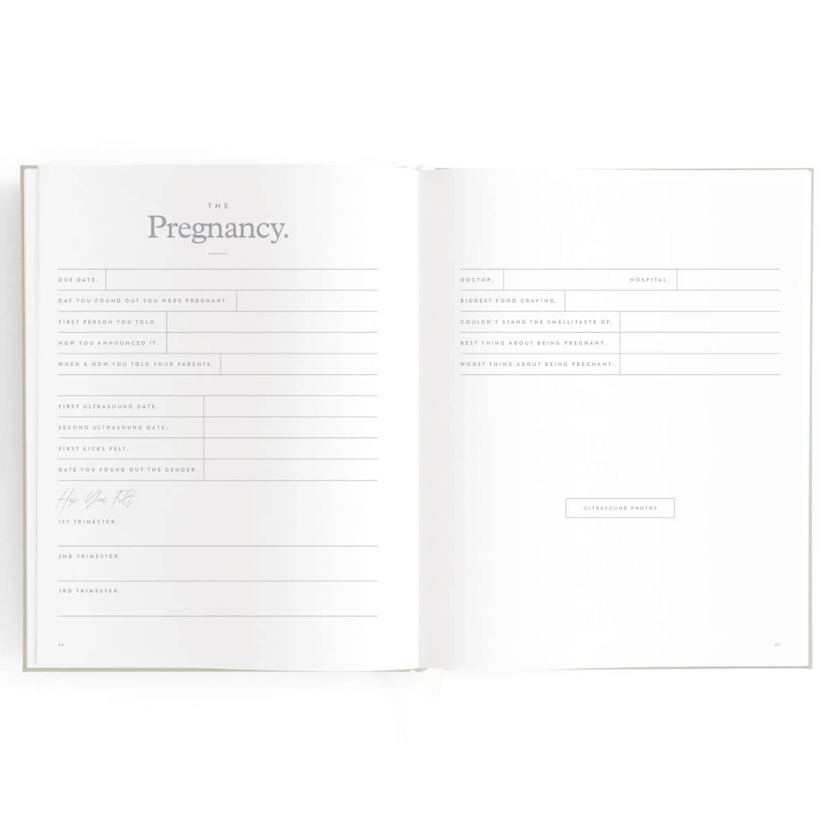 Fox & Fallow Baby Book - The Pregnancy