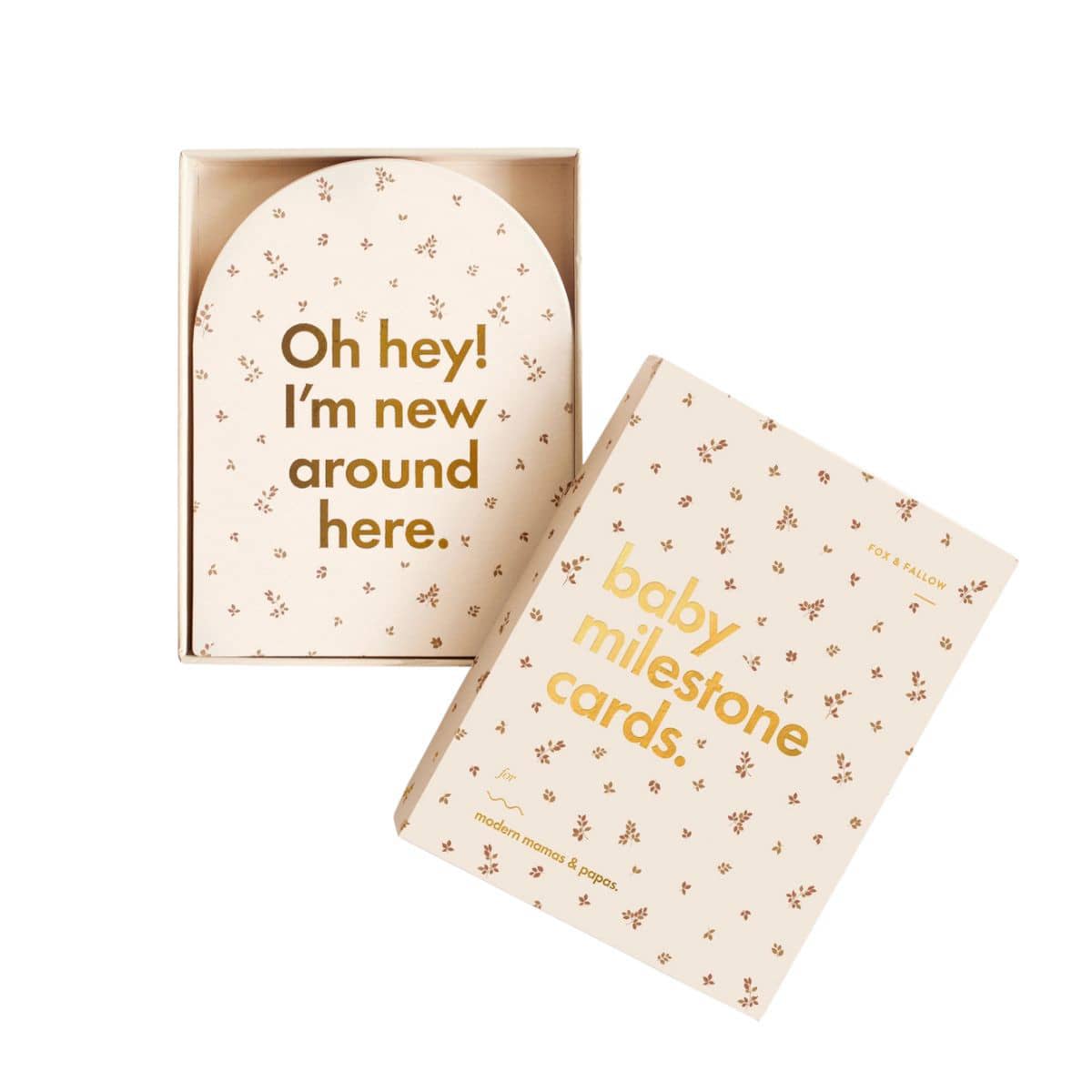 Fox & Fallow Baby Milestone Cards - Broderie