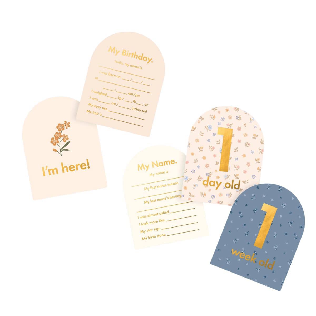 Fox & Fallow Baby Milestone Cards - Broderie
