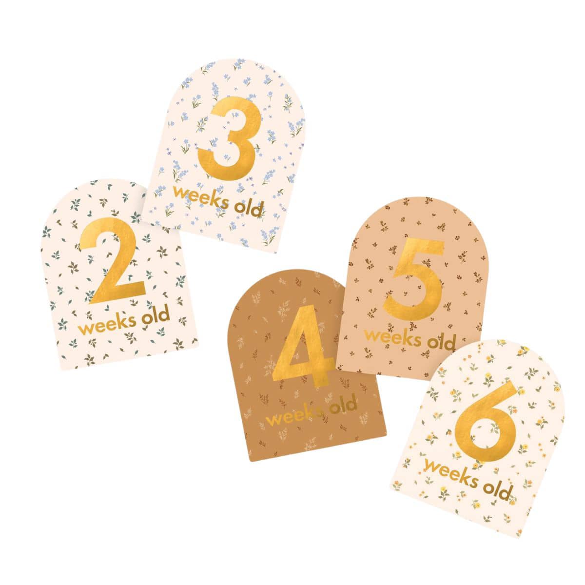 Fox & Fallow Baby Milestone Cards - Broderie