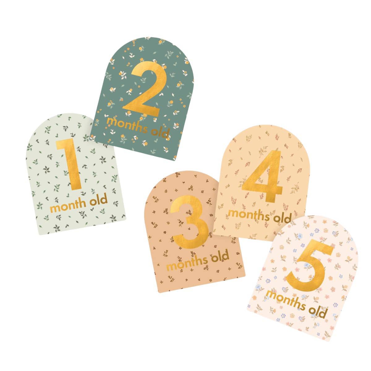 Fox & Fallow Baby Milestone Cards - Broderie