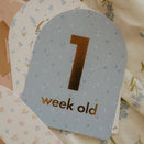 Fox & Fallow Baby Milestone Cards - Broderie