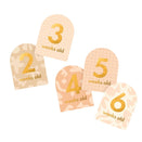 Fox & Fallow Baby Milestone Cards - Helios