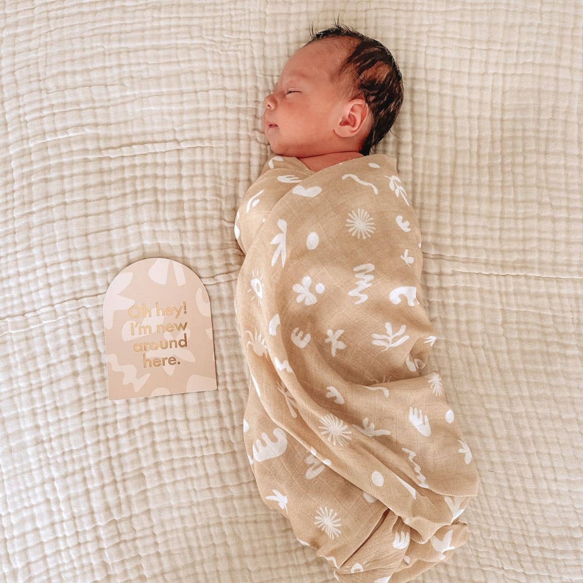 Fox & Fallow Baby Milestone Cards - Helios