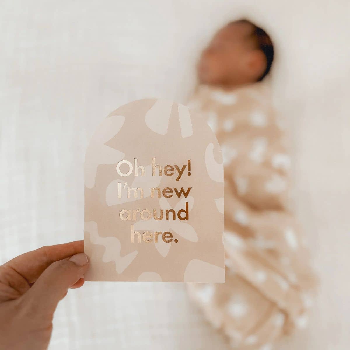 Fox & Fallow Baby Milestone Cards - Helios