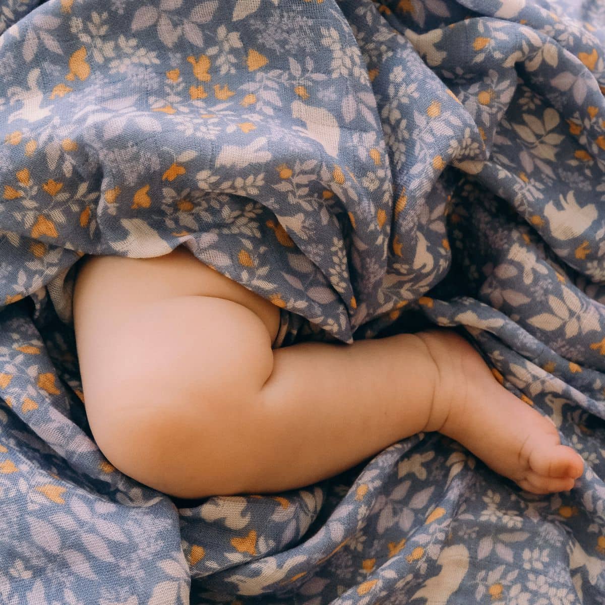 Fox & Fallow Organic Muslin Swaddle Wrap - Forest Friends Cornflower