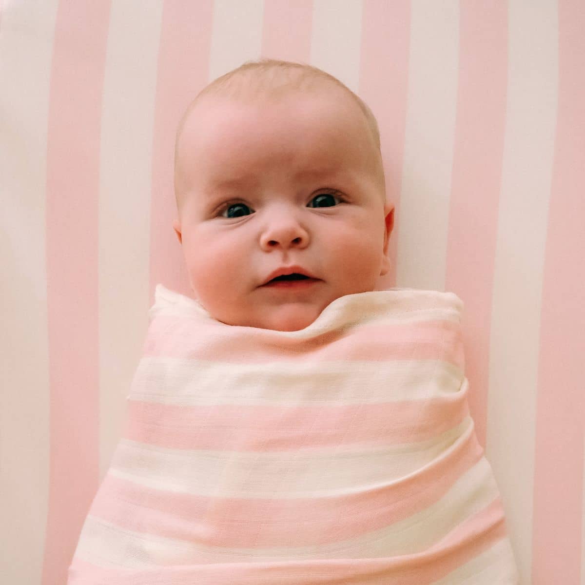 Fox & Fallow Organic Muslin Swaddle Wrap - Petal Stripe
