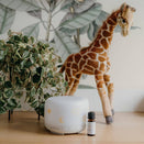 Glow Dreaming Essential Oil - Glow Breathe Easy