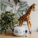 Glow Dreaming Essential Oil - Glow Lullaby