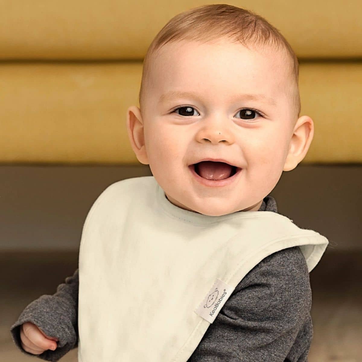 KeaBabies Urban Organic Baby Bibs Set - Roarsome