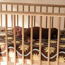 Kiin Baby Organic Cot Sheet - Solace