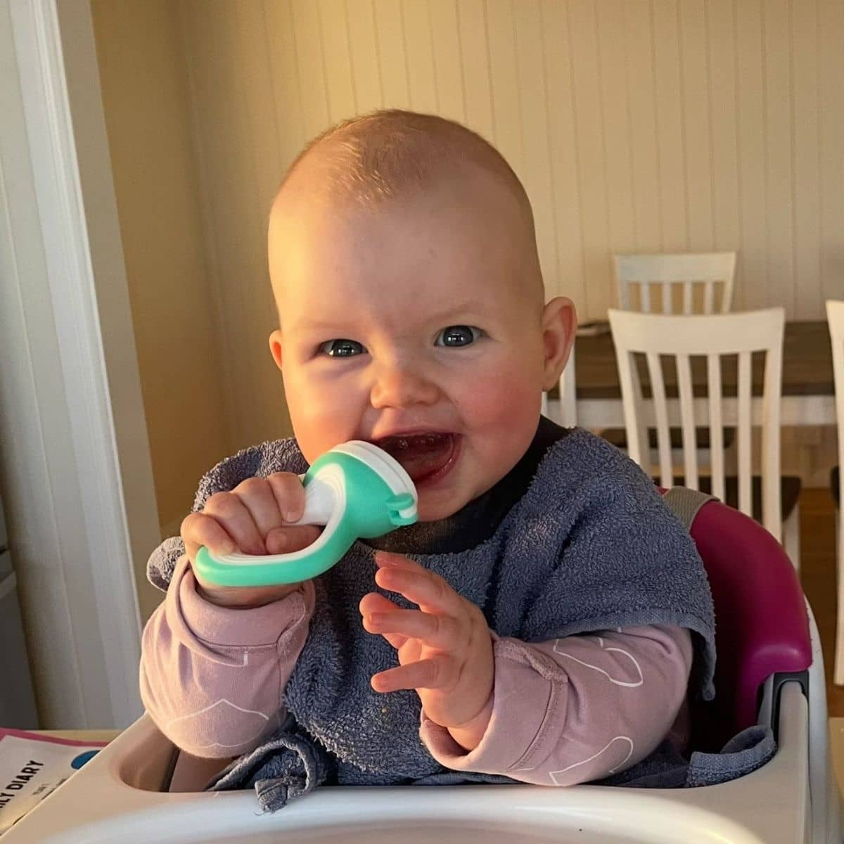 Lil' Kooee Fresh Food Silicone Feeder