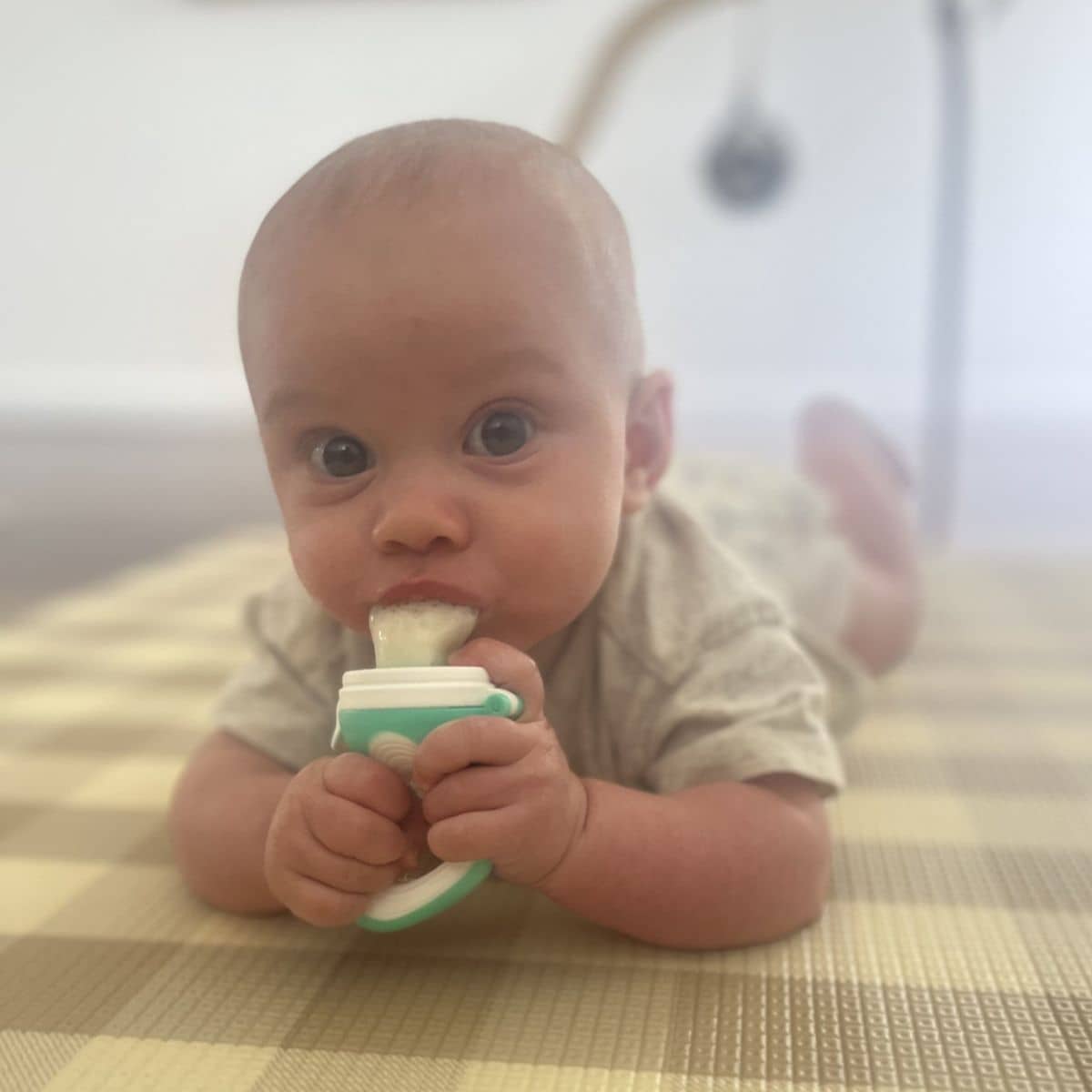 Lil' Kooee Fresh Food Silicone Feeder