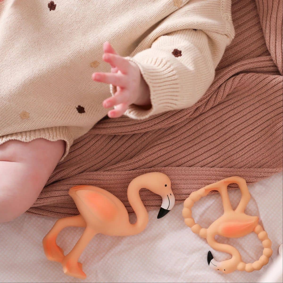 Lingo the Flamingo - Flock Together Set