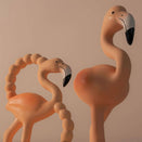 Lingo the Flamingo - Flock Together Set