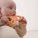 Lingo the Flamingo - Mini Teether