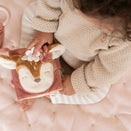 Little Dutch Fairy Garden Stroller Booklet